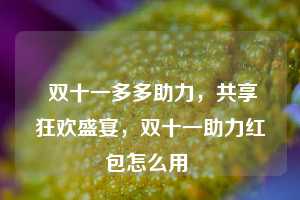  双十一多多助力，共享狂欢盛宴，双十一助力红包怎么用 第1张