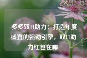  多多双11助力：打造年度盛宴的强劲引擎，双11助力红包在哪 第1张